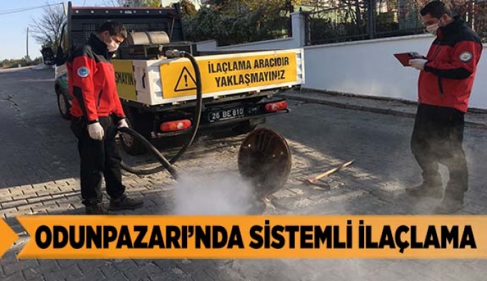 ODUNPAZARI’NDA SİSTEMLİ İLAÇLAMA