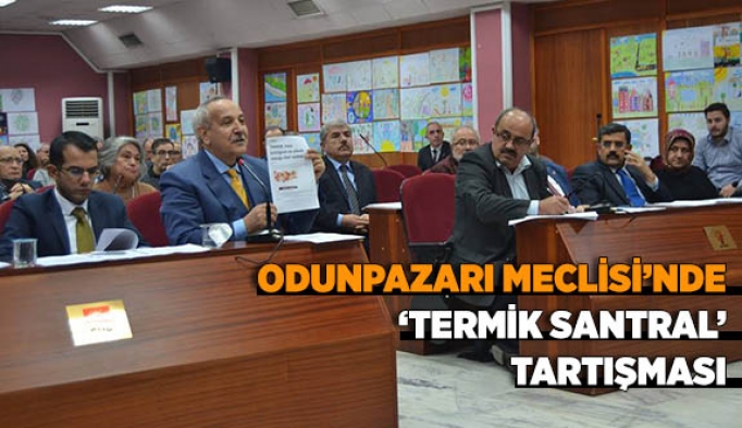 ODUNPAZARI MECLİSİ’NDE “TERMİK SANTRAL” TARTIŞMASI