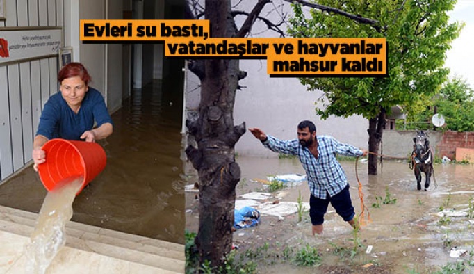 Evleri su bastı, vatandaşlar ve hayvanlar mahsur kaldı