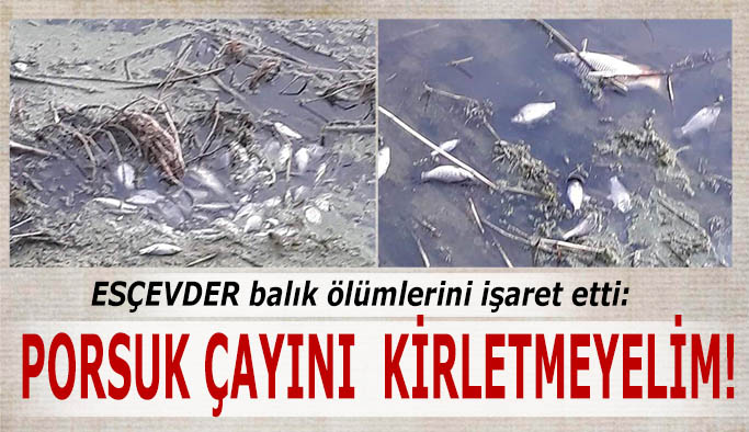 ESÇEVDER balık ölümleri nedeniyle uyardı