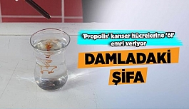 Damladaki şifa